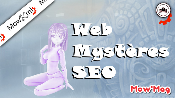 Le Web Et Ses Mystères - édition MowMag (MowMag edition)